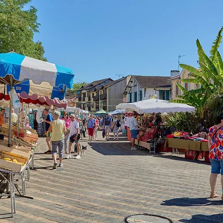 T3 Lumineux, 2-5 Pers, Animaux Permis, Parking, Wifi - Fr-1-841-15 *